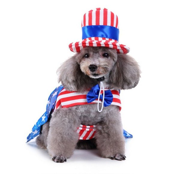 American USA Flag Pet Costume Cute Uniform Dress Up Cat Dog Cosplay Halloween - Picture 2 of 6